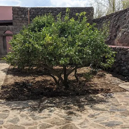 Horizon Pantelleria Bed & Breakfast *