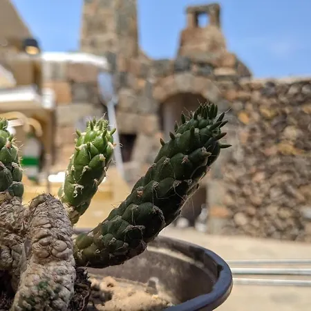 Horizon Pantelleria Bed & Breakfast Campobello